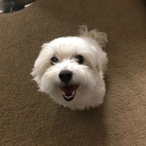 Meet your Posher, Jimmy